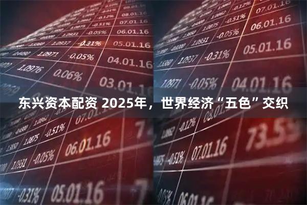 东兴资本配资 2025年,世界经济“五色”交织